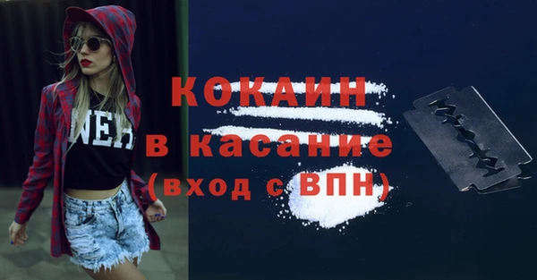 шишки Балабаново