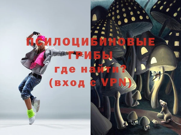 шишки Балабаново