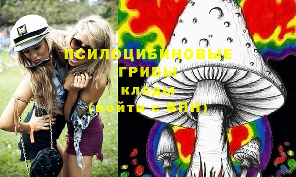 дмт Балахна