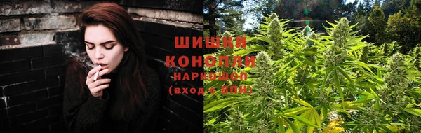 шишки Балабаново