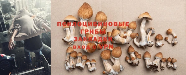 шишки Балабаново