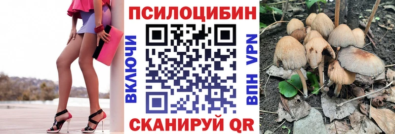 Псилоцибиновые грибы MAGIC MUSHROOMS  KRAKEN ССЫЛКА  Заречный  купить закладку 